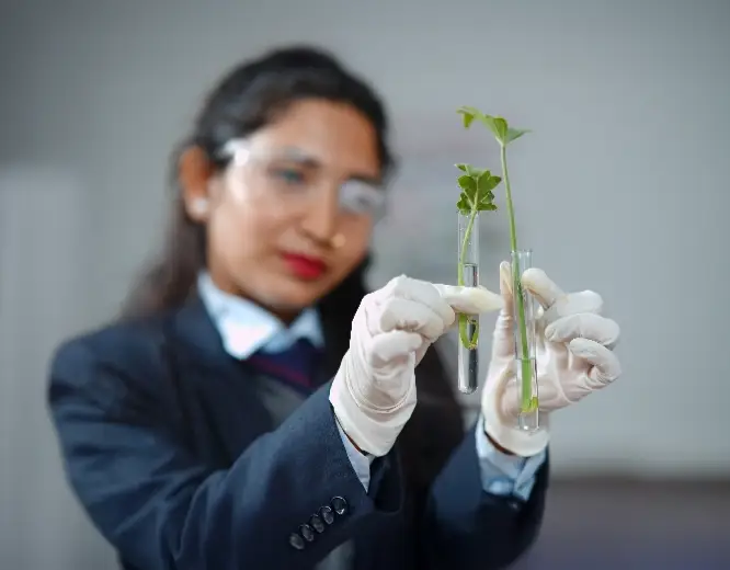 adv-eng-highlight-img