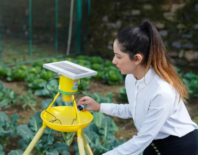 adv-eng-highlight-img