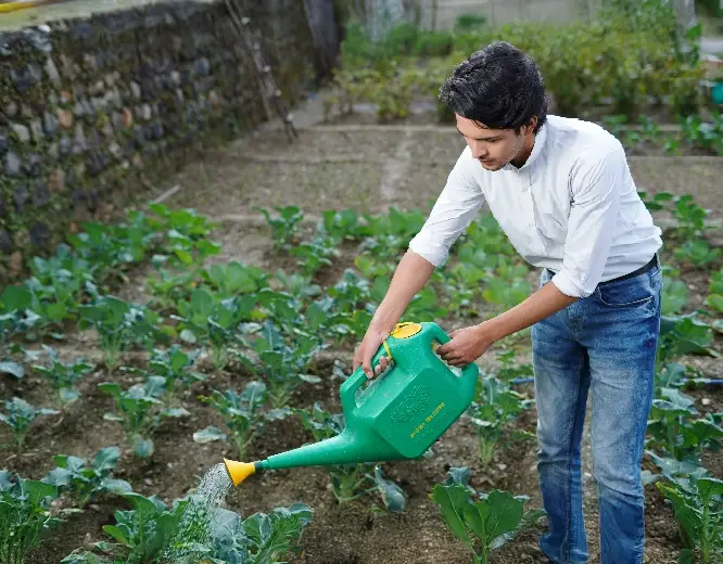 adv-eng-highlight-img