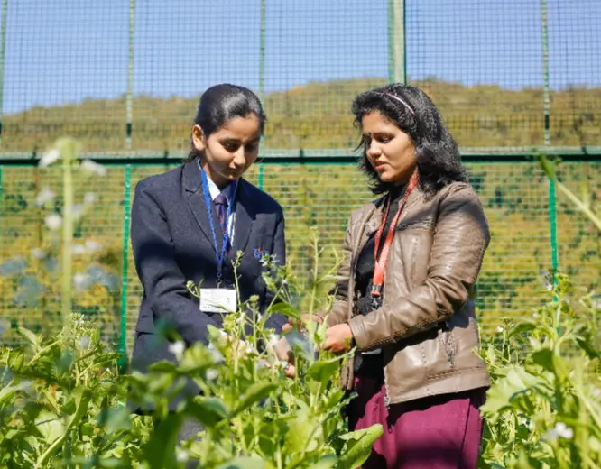 adv-eng-highlight-img