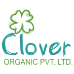 12 Clover Organic